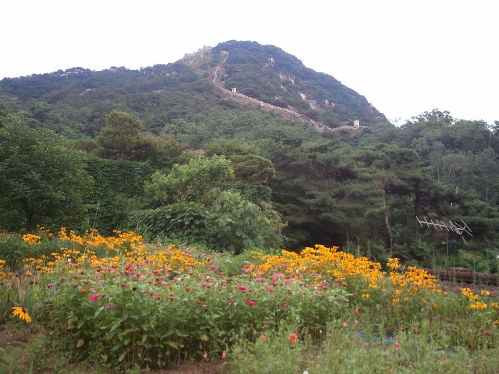 Guesthouse The Kims Seul Esterno foto